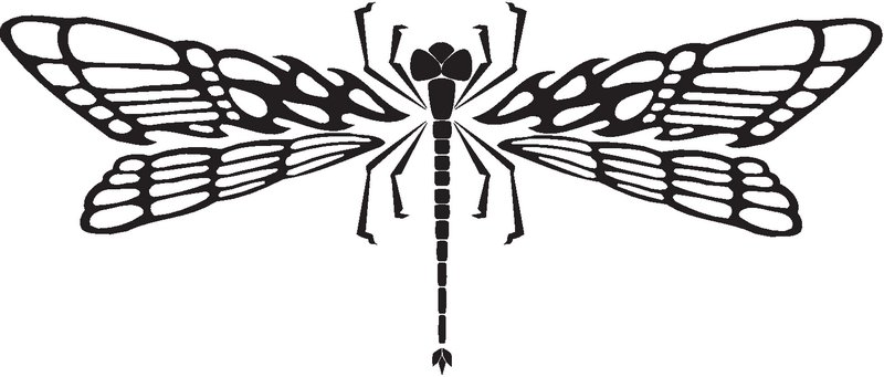 Dragonfly Sticker 11