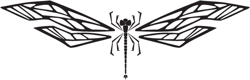 Dragonfly Sticker 44