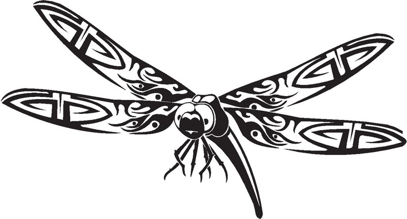 Dragonfly Sticker 52