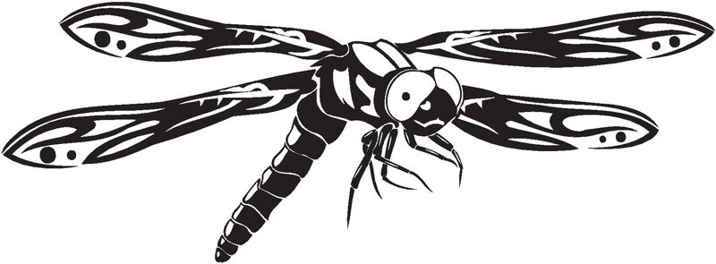 Dragonfly Sticker 66