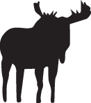 Moose Sticker 7