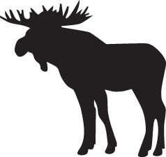 Moose Sticker 8