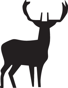 Elk Sticker 5