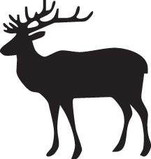 Elk Sticker 7