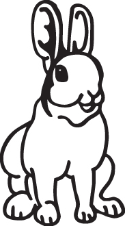 Rabbit Sticker 3