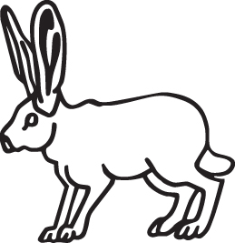 Rabbit Sticker 4