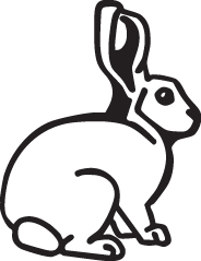 Rabbit Sticker 5