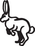Rabbit Sticker 8