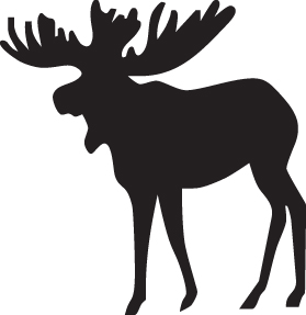 Moose Sticker 12