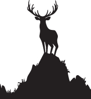 Elk Sticker 14