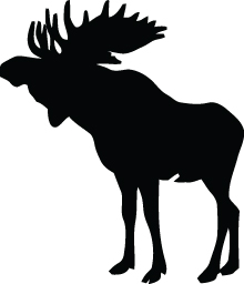 Moose Sticker 40
