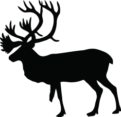 Moose Sticker 41
