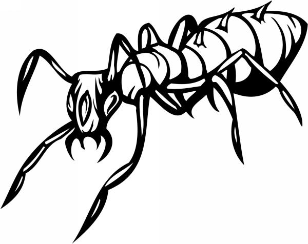 Predatory Insect Sticker 41