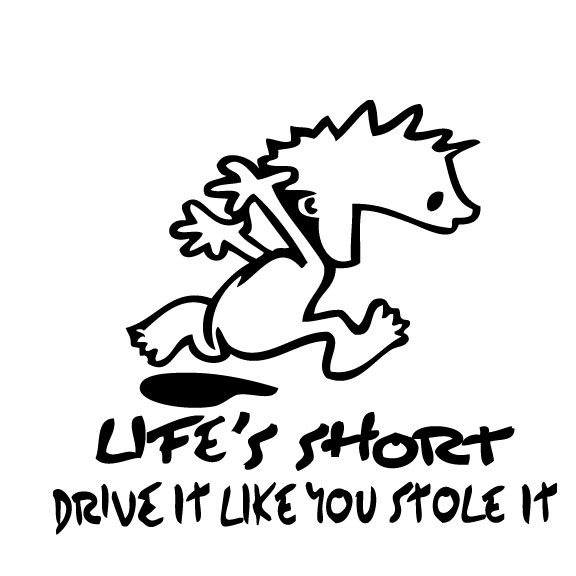 Lifes Short, Drive It Like You Stole It Sticker