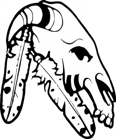 Native American Skull Sticker 11