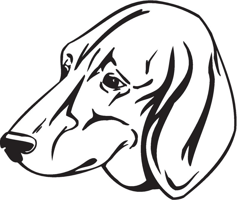 Anglo-Francais de Petite Venerie Dog Sticker