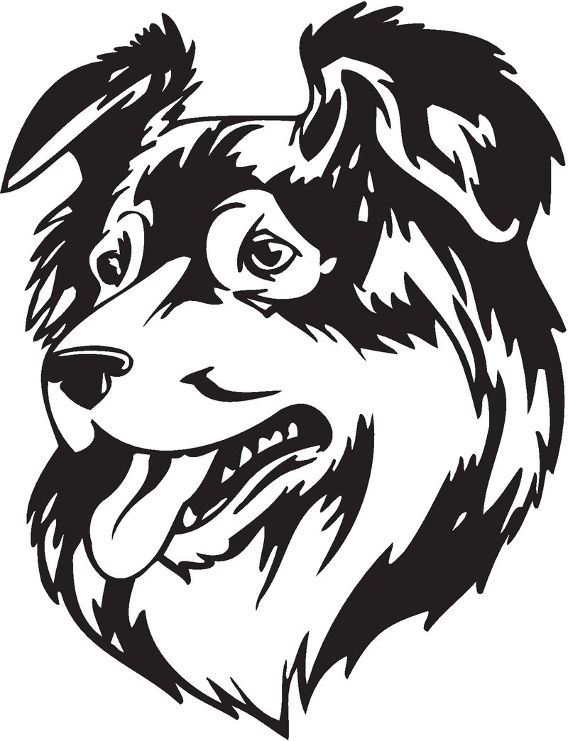 Australian Shepherd Dog Sticker