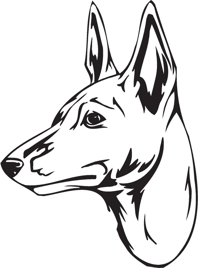 Basenji Dog Sticker