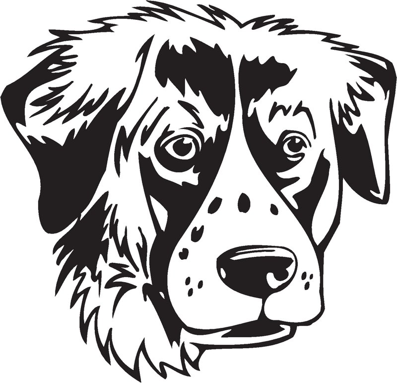 Large Munsterlander Dog Sticker