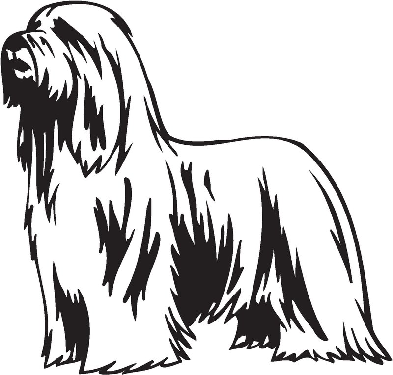 Bearded Collie Dog Sticker