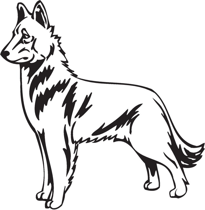 Belgian Shepherd Dog (Malinois) Dog Sticker