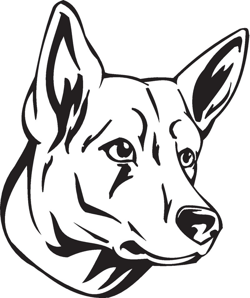 Berger Blanc Suisse Dog Sticker