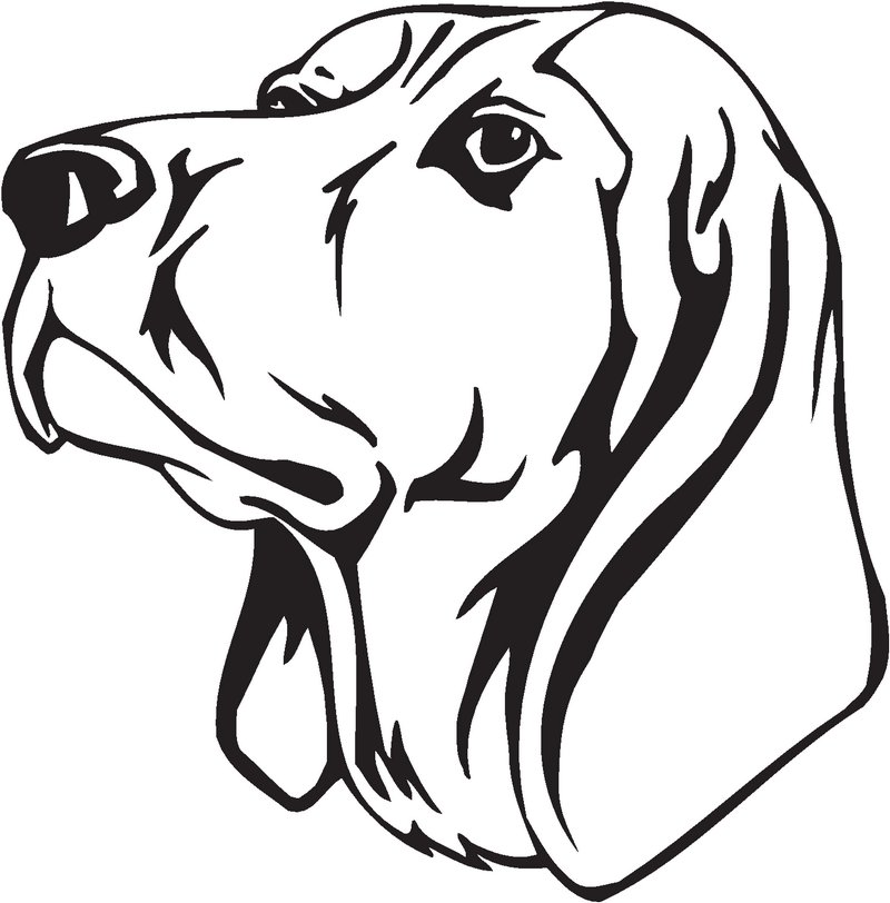 Black and Tan Coonhound Dog Sticker