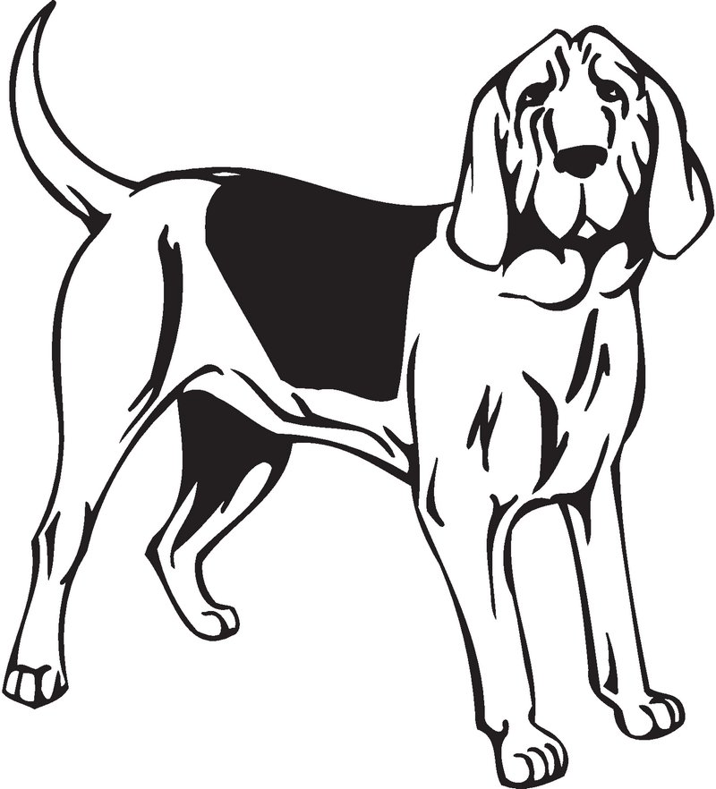 Bloodhound Dog Sticker