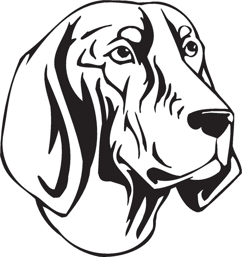 Bluetick Coonhound Dog Sticker