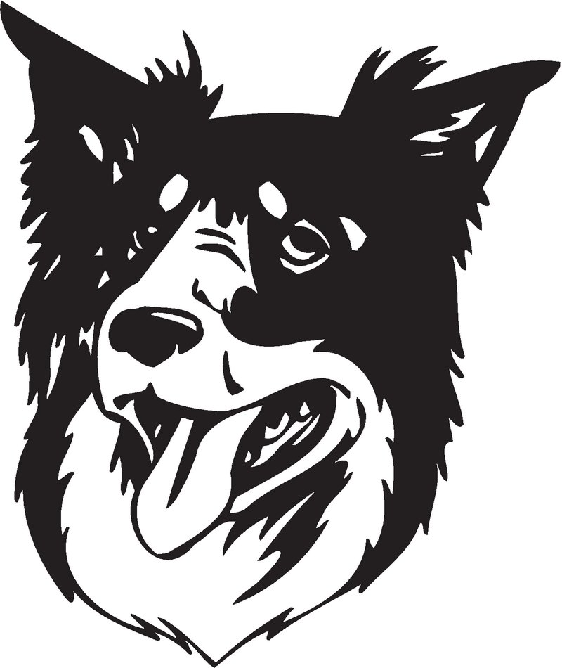 Border Collie Dog Sticker