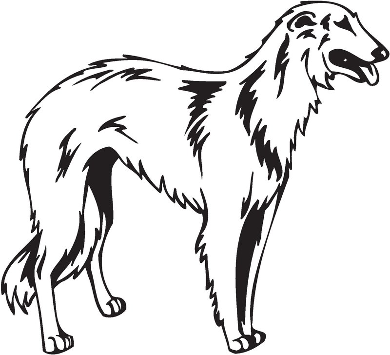 Borzoi Dog Sticker