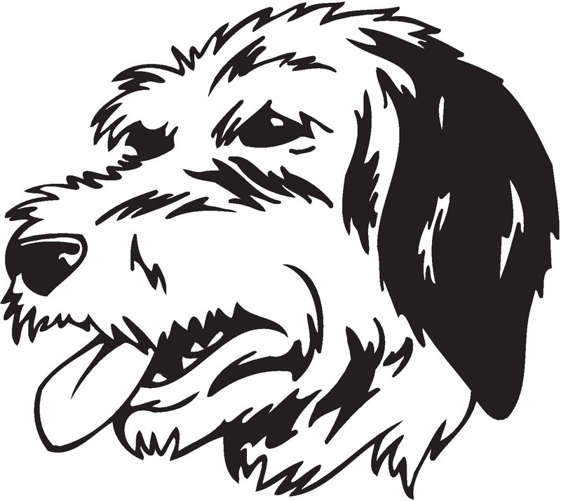 Bosnian Coarse-haired Hound Dog Sticker