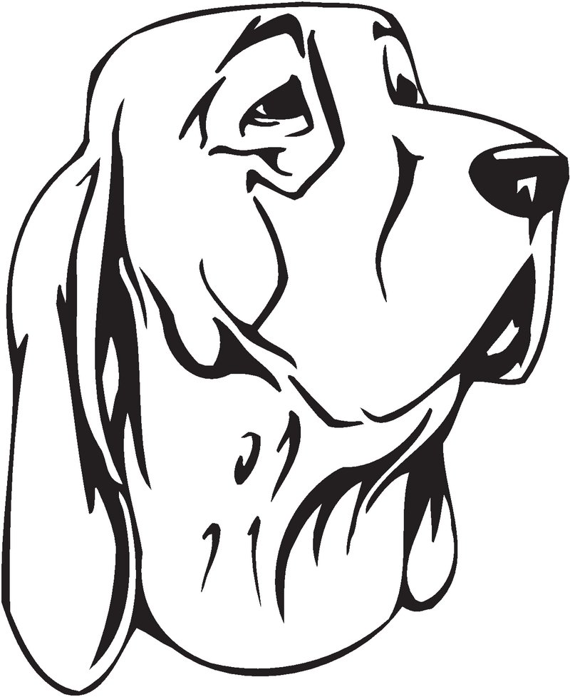 Bracco Italiano Dog Sticker