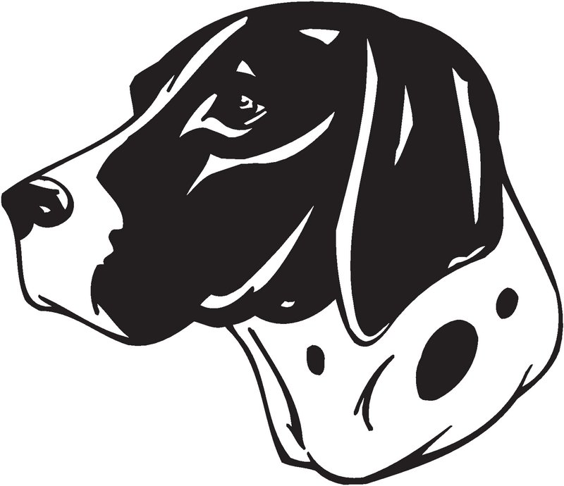 Braque d'Auvergne Dog Sticker