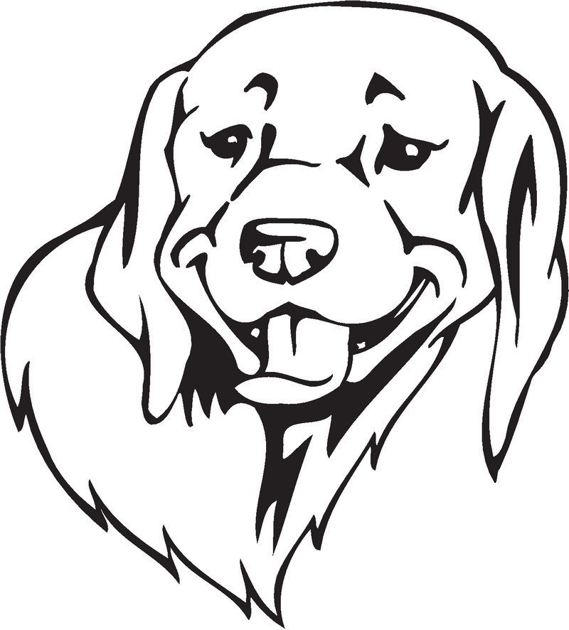Braque du Bourbonnais Dog Sticker