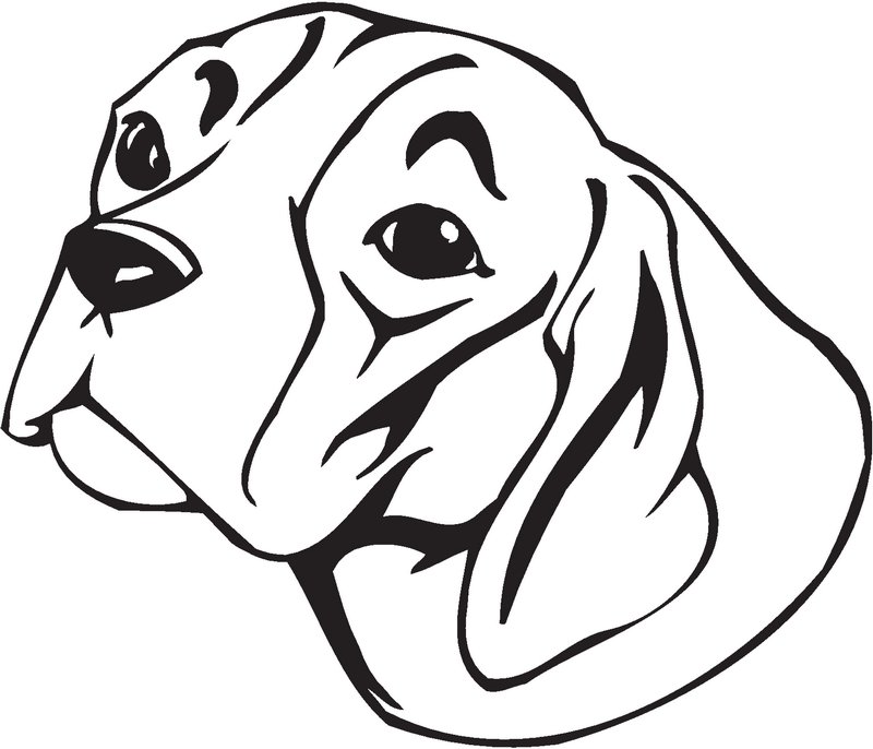 Braque Saint-Germain Dog Sticker
