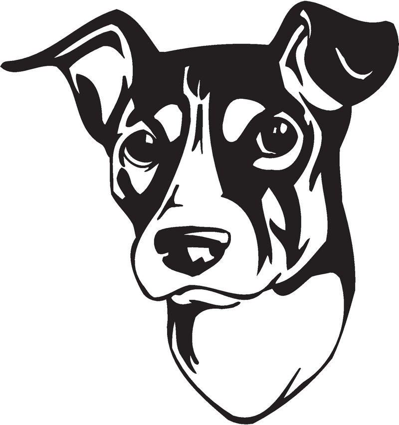 Brazilian Terrier Dog Sticker