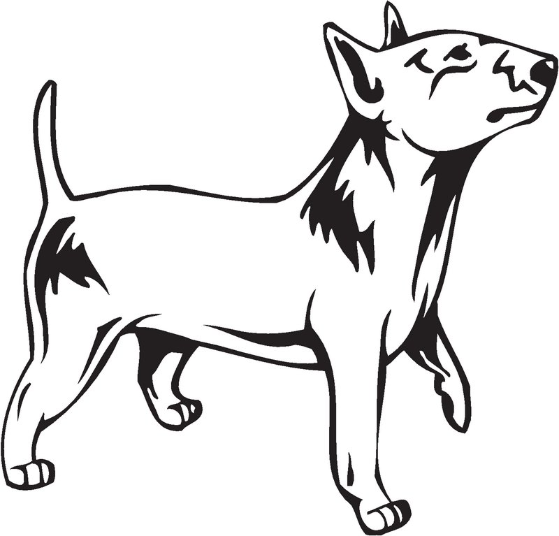 Bull Terrier (Miniature) Dog Sticker