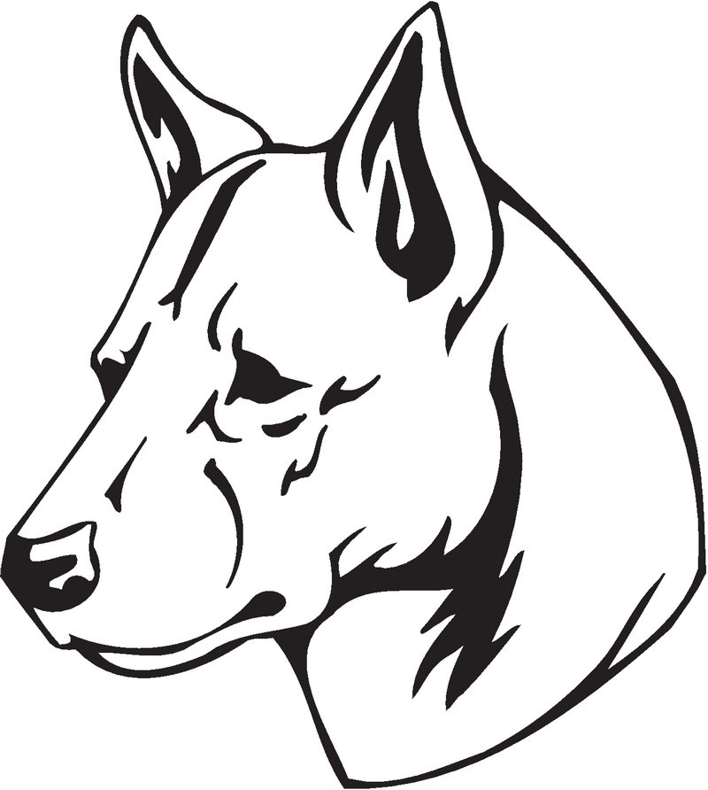 Canaan Dog Sticker