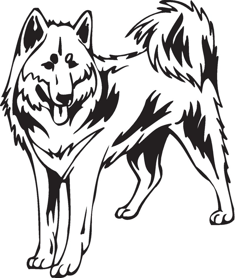 Canadian Eskimo Dog Sticker