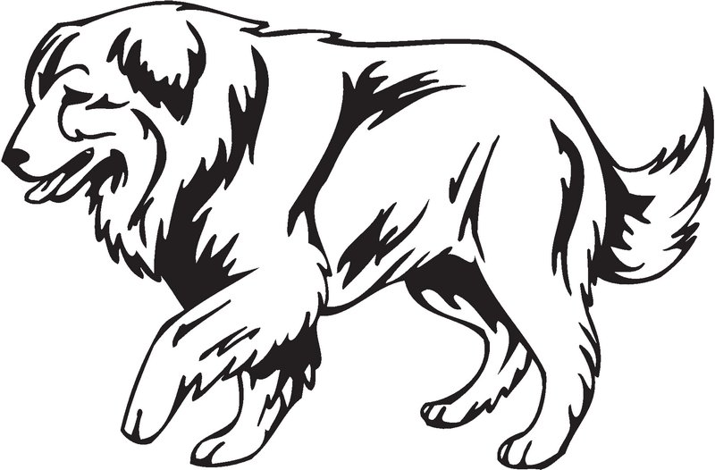 Carpathian Shepherd Dog Sticker