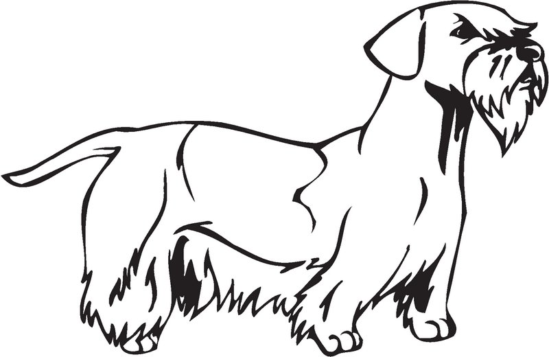 Cesky Terrier Dog Sticker