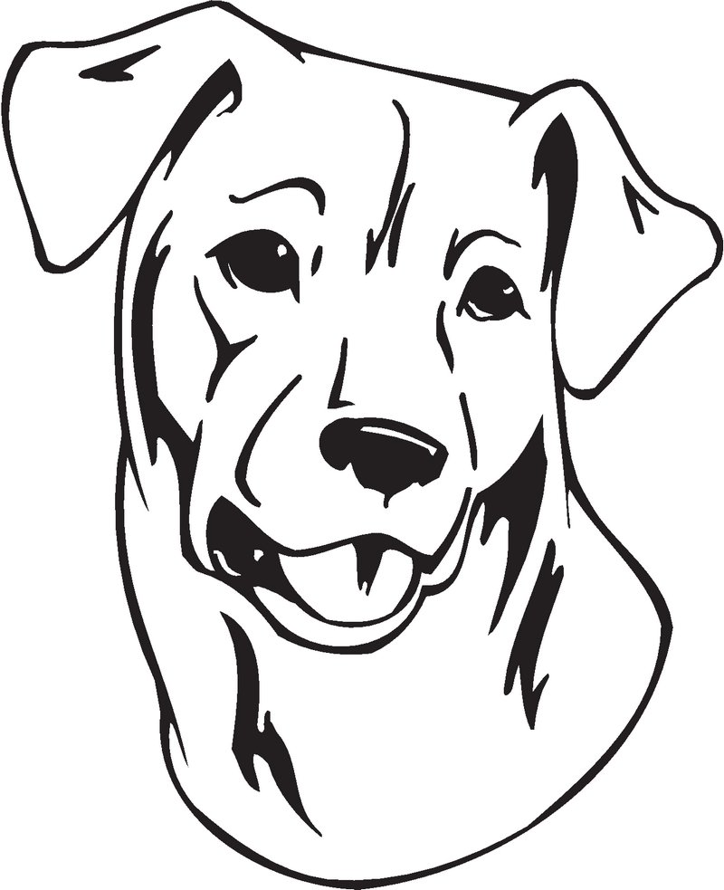 Chesapeake Bay Retriever Dog Sticker