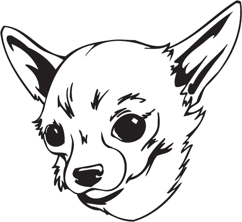 Chien Chihuahua Dog Sticker