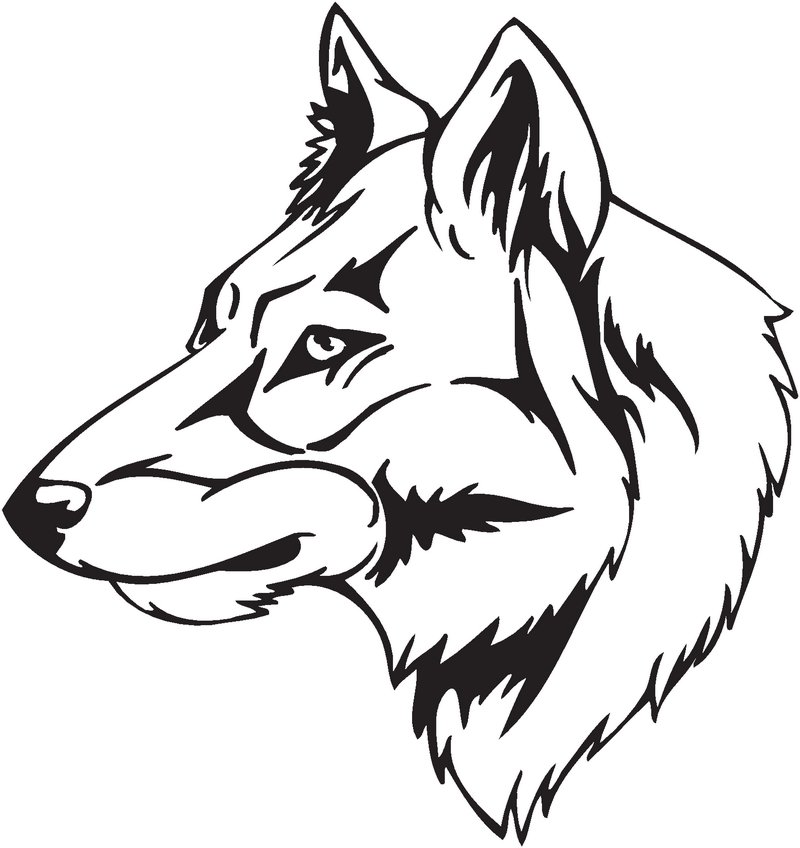 Czechoslovak WolfDog Sticker