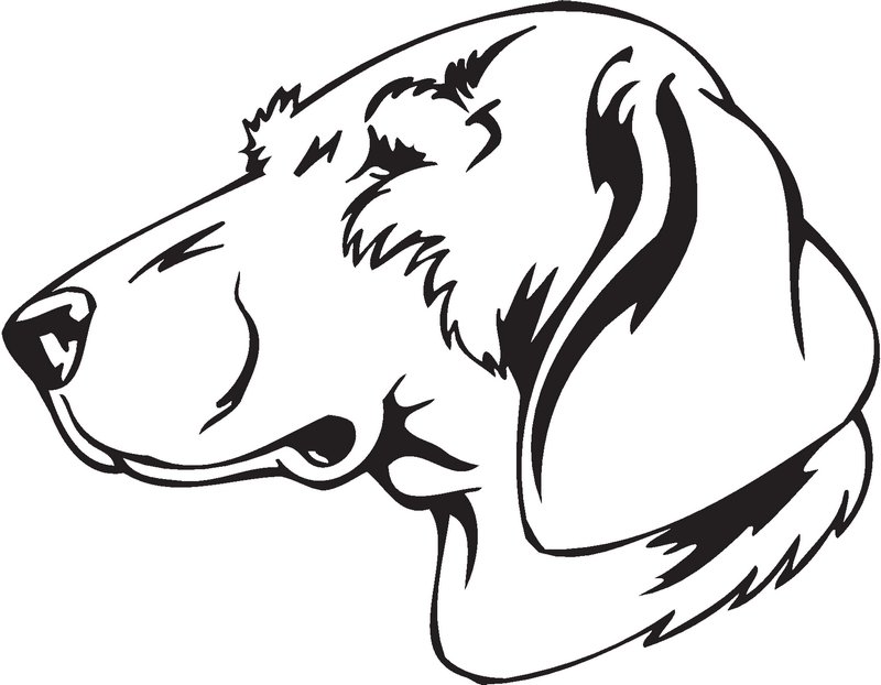 Deutsche Bracke Dog Sticker