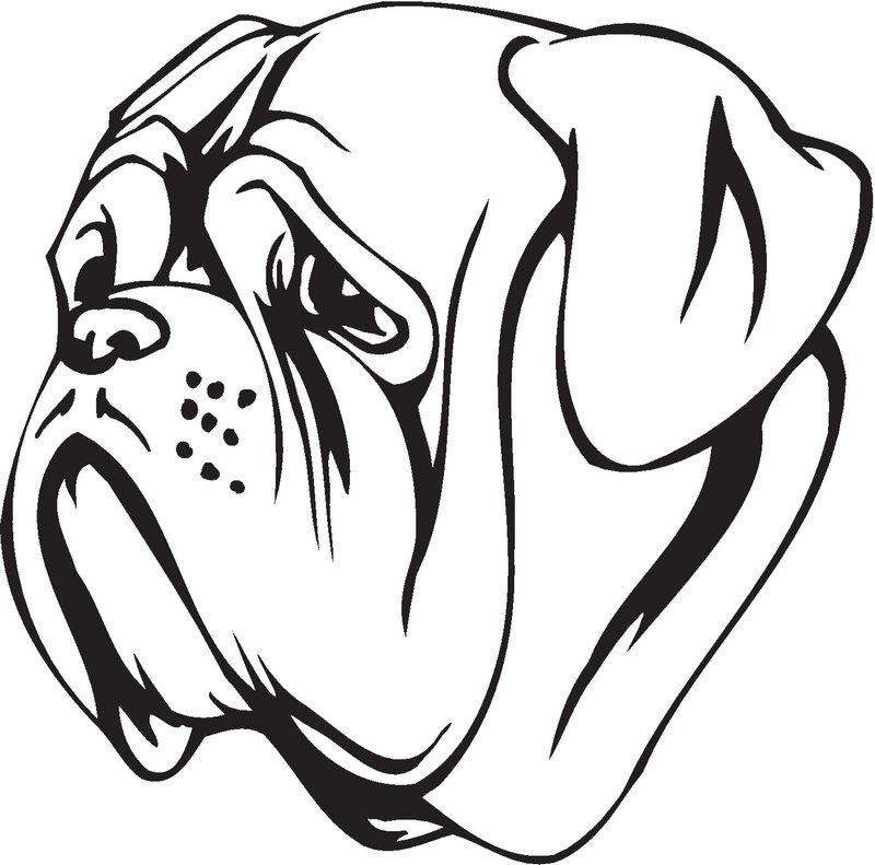 Dogue de Bordeaux Dog Sticker