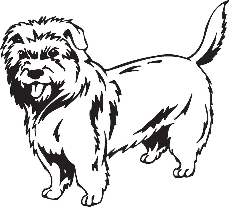 Dutch Smoushound Dog Sticker