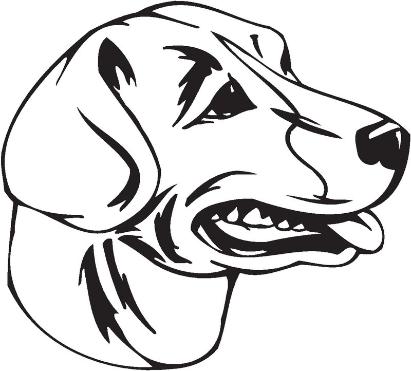 English Foxhound Dog Sticker