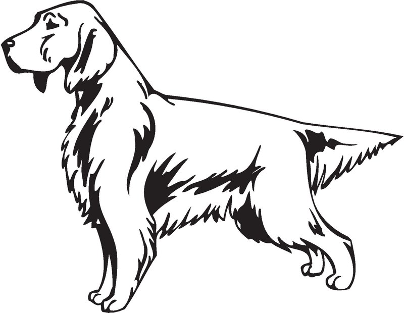 English Setter Dog Sticker